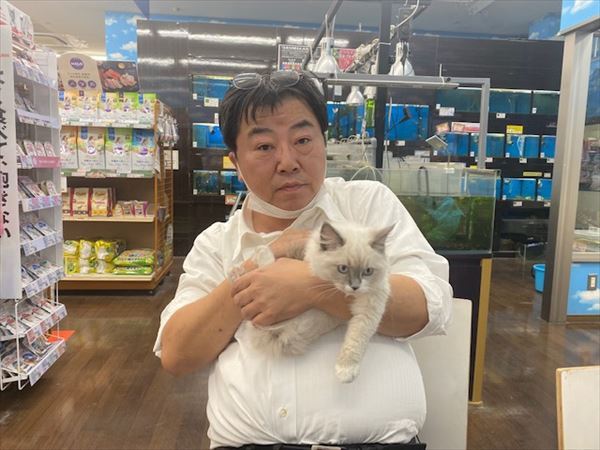 写真