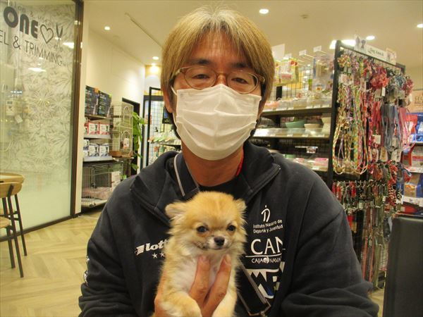 写真
