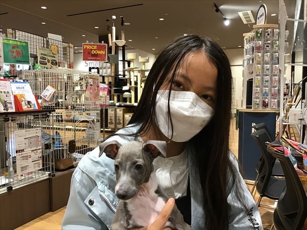 写真