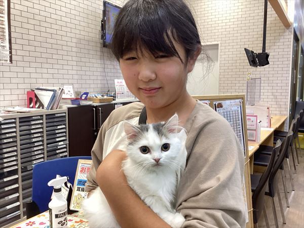 写真