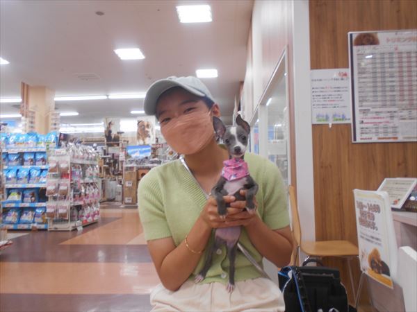 写真
