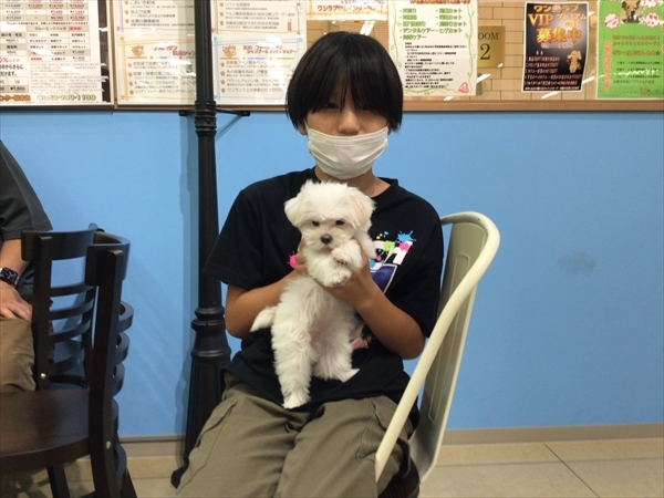 写真