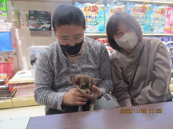 写真