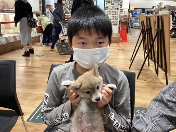 写真