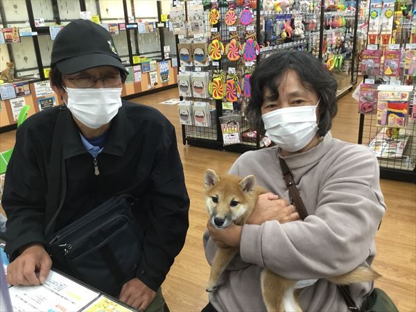 写真