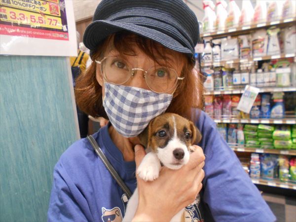 写真