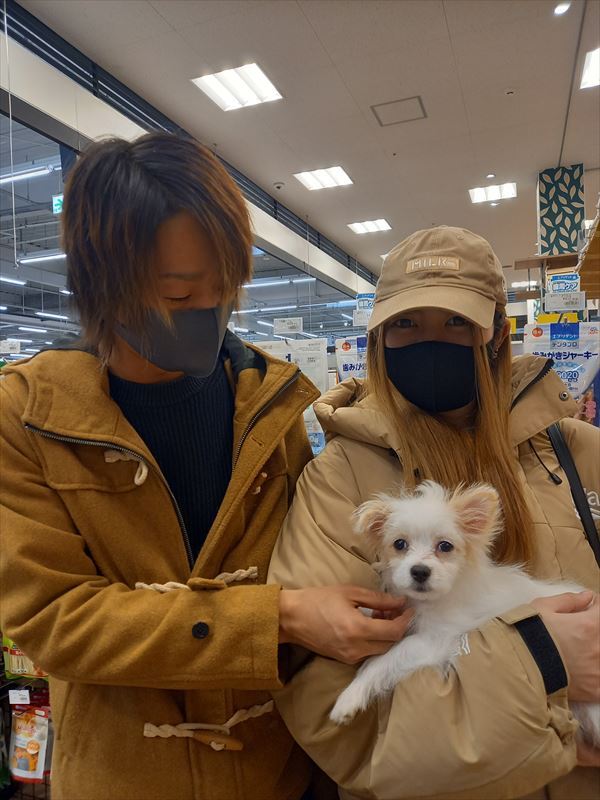 写真