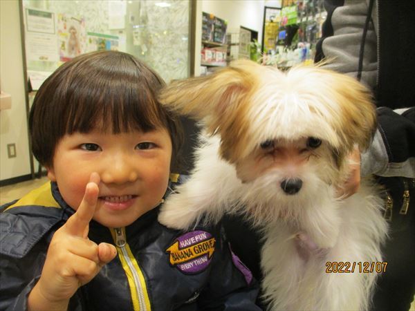 写真