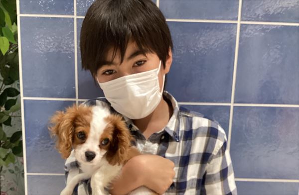 写真
