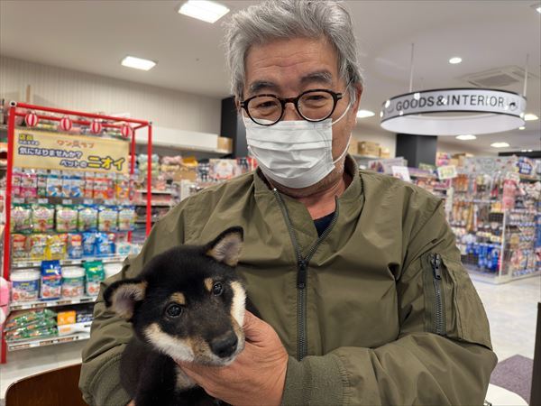 写真