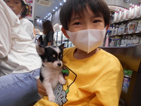 写真