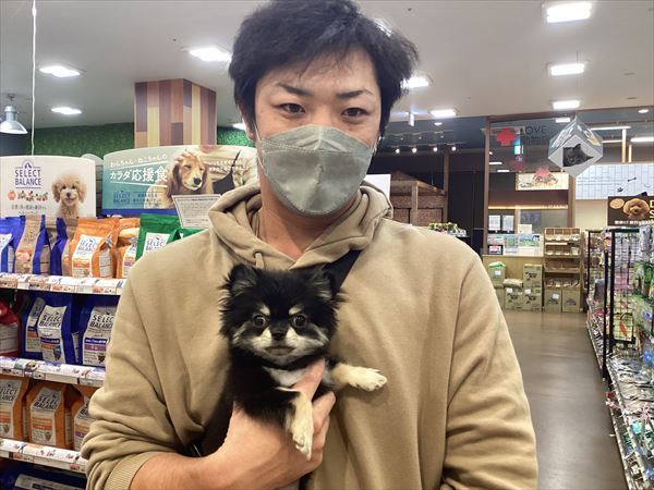 写真
