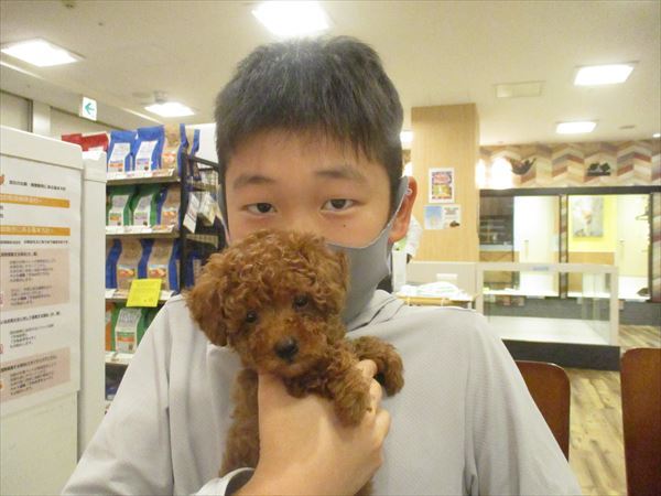 写真