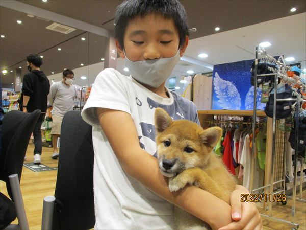 写真