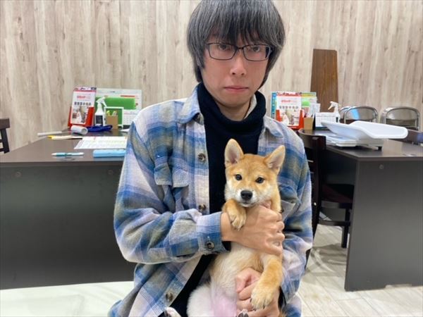 写真