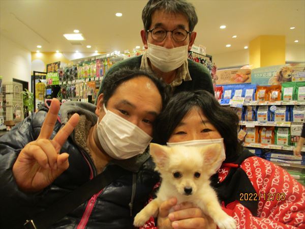 写真