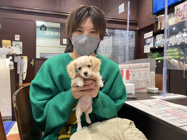 写真