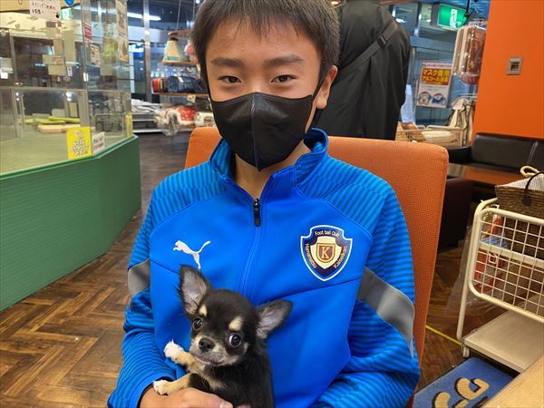 写真