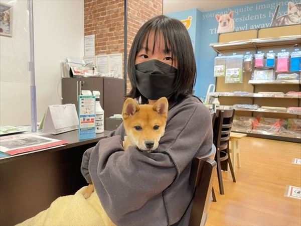 写真