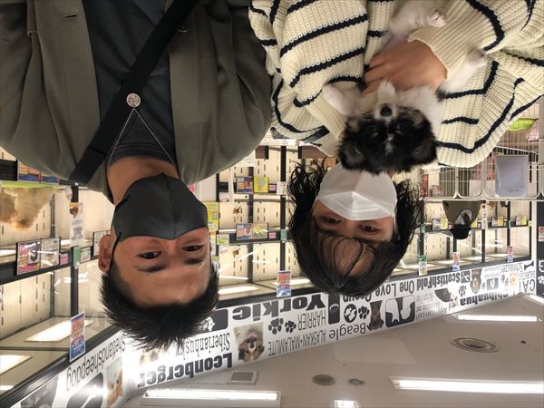 写真