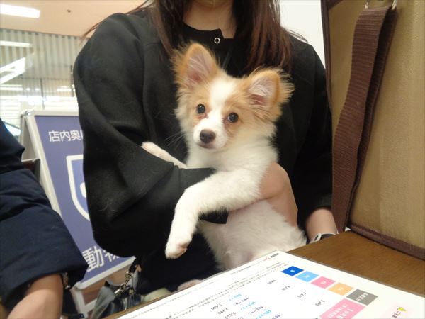 写真