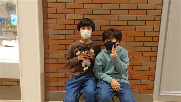 写真