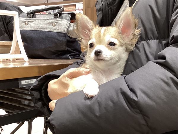写真