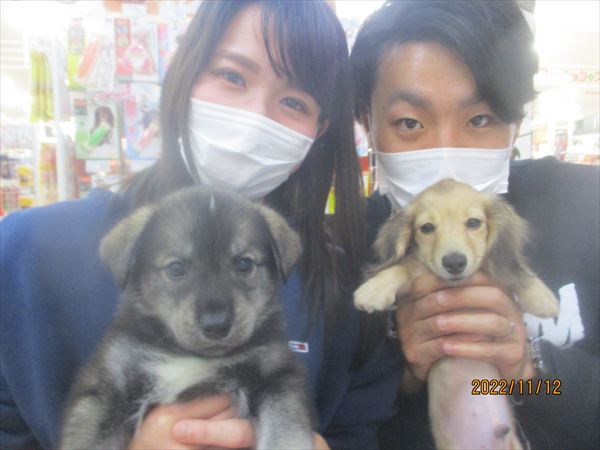 写真