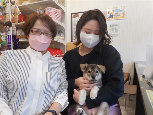 写真