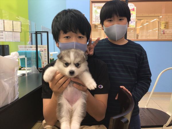 写真