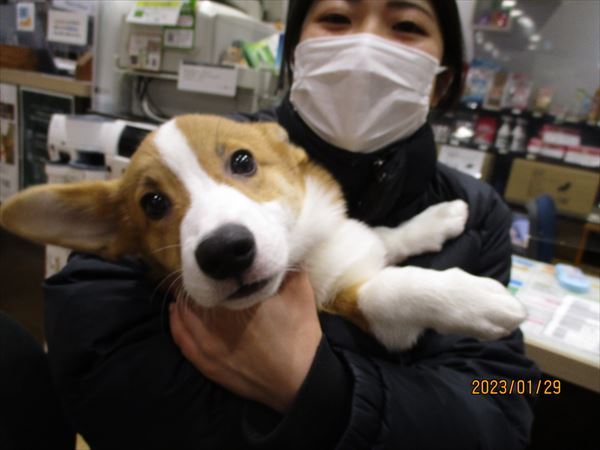 写真