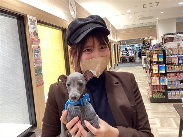 写真