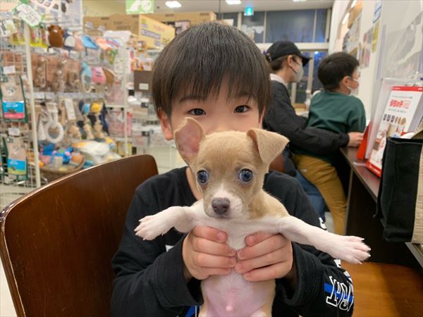 写真