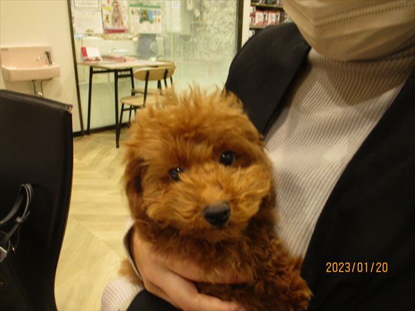 写真