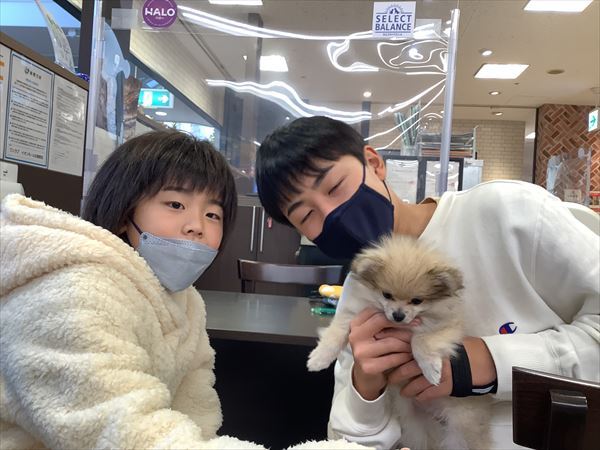 写真