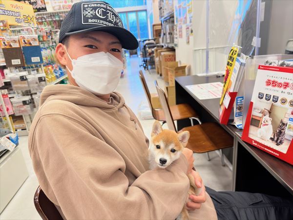 写真