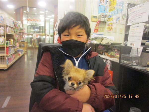 写真