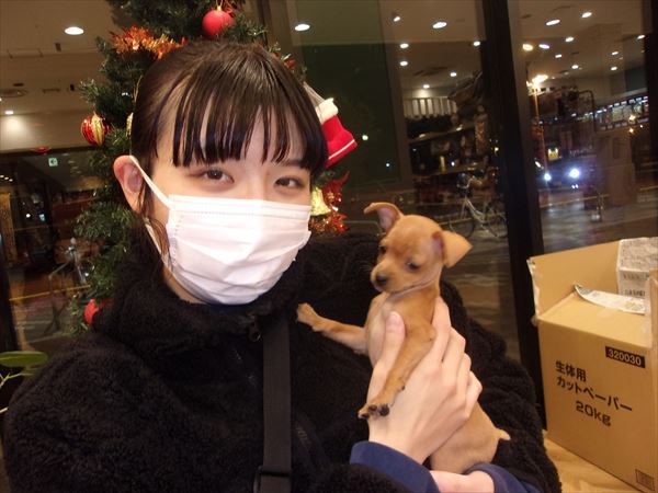 写真