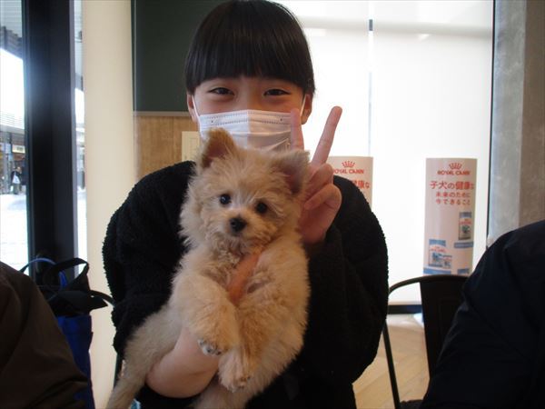 写真