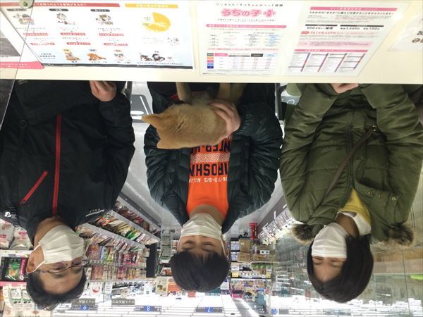 写真