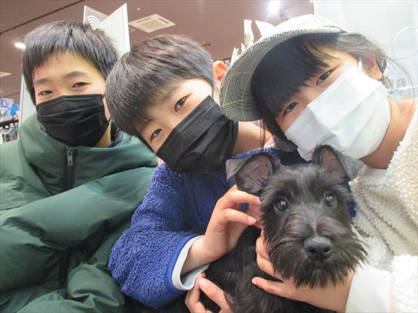 写真