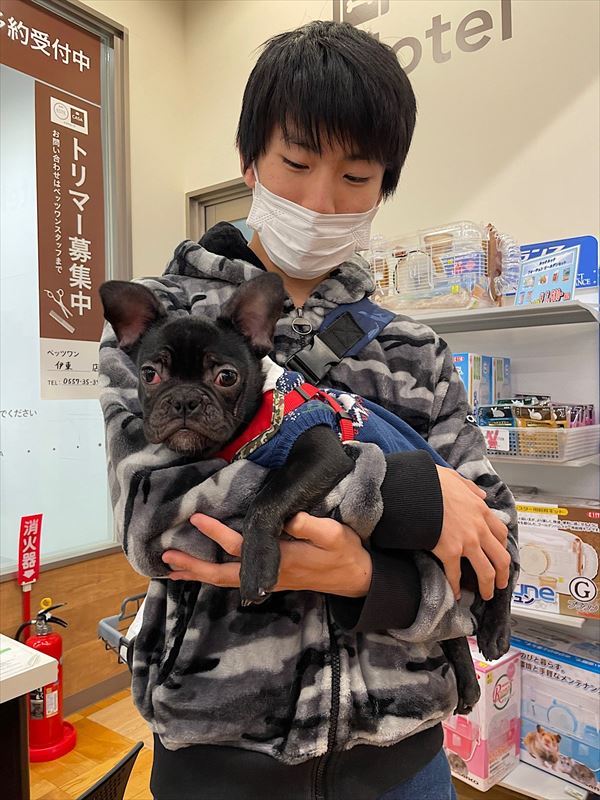 写真