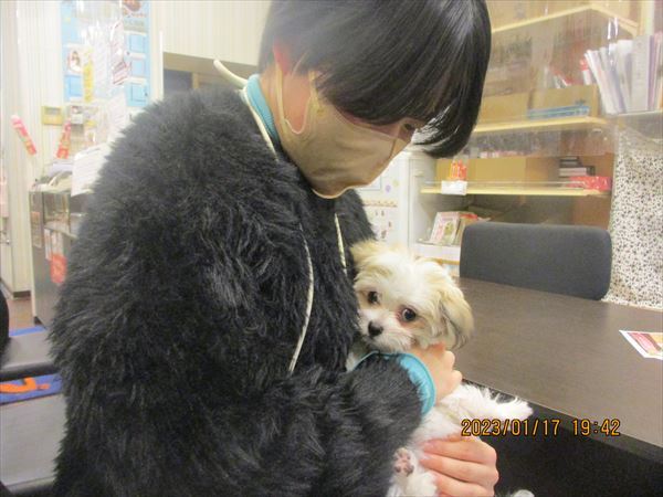 写真