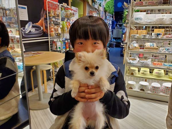 写真