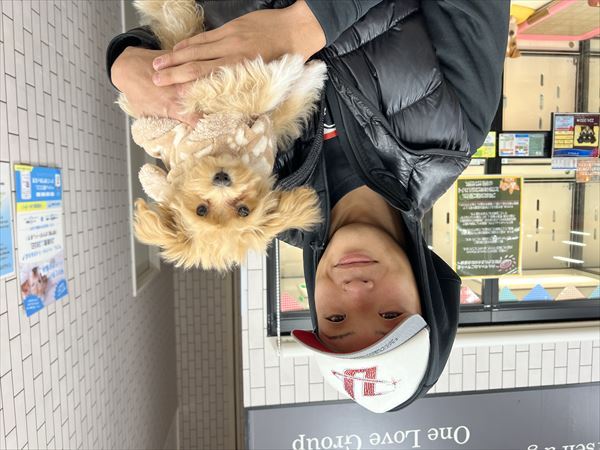 写真