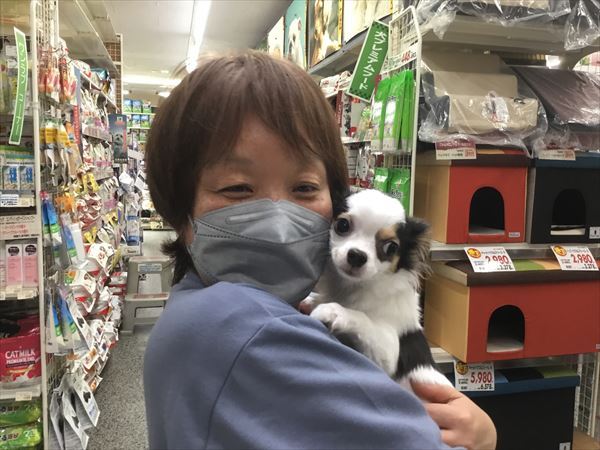 写真