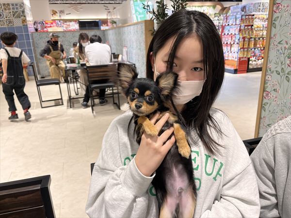 写真