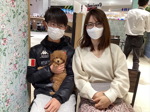 写真