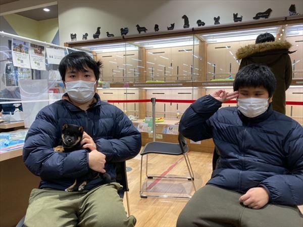 写真
