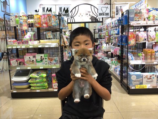 写真